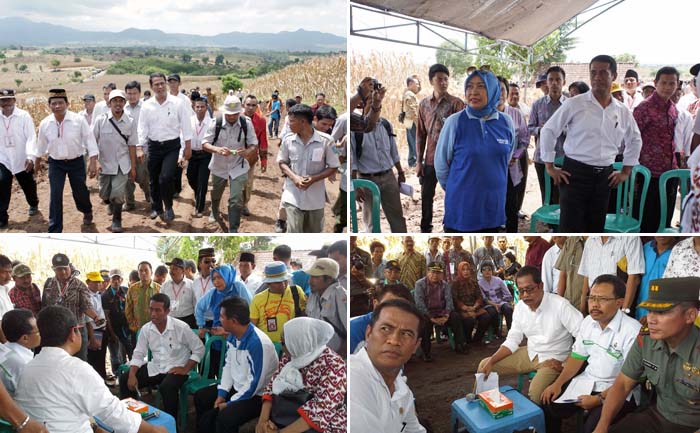 Harga Pupuk Melambung, Mentan Perintahkan Aparat Bertindak